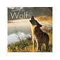 Spirit Of The Wolf, Chapter Book, Hardcover (54516)