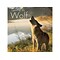 Spirit Of The Wolf, Chapter Book, Hardcover (54516)