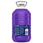 Fabuloso Antibacterial Multipurpose Cleaner, Lavender Scent, 169 Fl. Oz. (61018224)