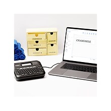 Brother P-Touch Desktop Thermal Label Maker, Black (PTD460BTVP)