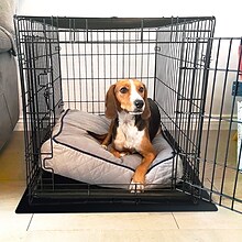 Floortex P-Tex Polypropylene Pet Crate Floor Protection Mat, 20 x 26, Black (NCSMFLLS0001)