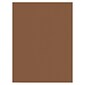 Prang 9" x 12" Construction Paper, Brown, 50 Sheets/Pack (P6703-0001)