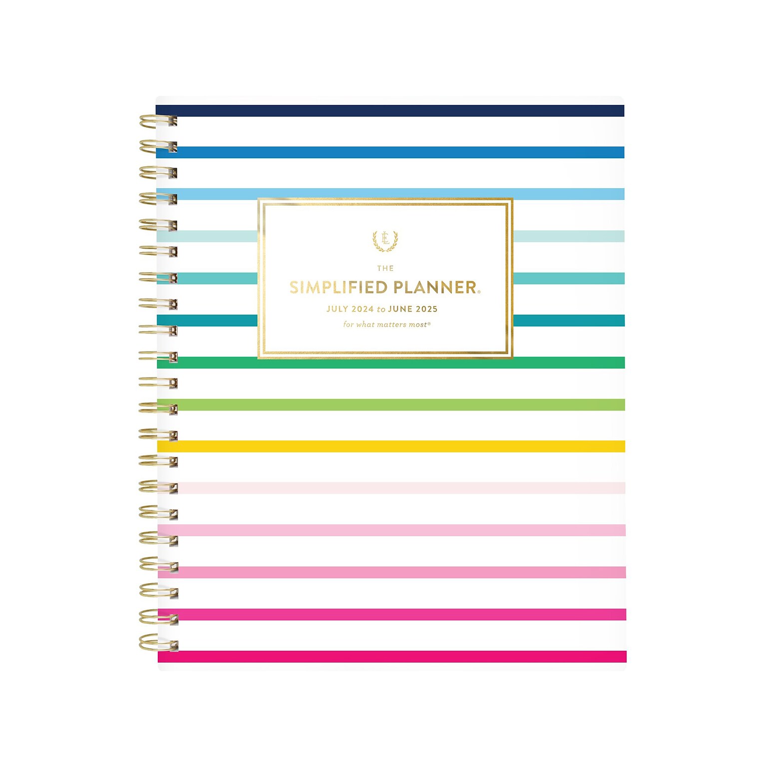2024-2025 AT-A-GLANCE Simplified by Emily Ley Happy Stripe 8.5 x 11 Academic Weekly & Monthly Planner, Poly Cover