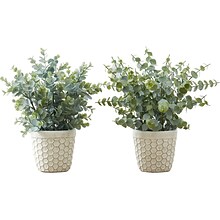 Monarch Specialties Inc. Eucalyptus Grass in Pots, 2/Pack (I 9581)