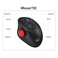 Adesso iMouse T30 Wireless Optical Mouse, Black/Red (iMouseT30)