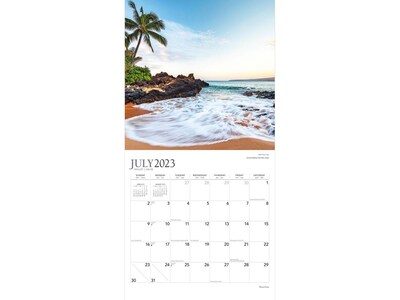 2023-2024 Plato Beaches 12" x 12" Academic & Calendar Monthly Wall Calendar (9781975467159)