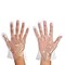 Extreme Fit Powder Free Clear Polyethylene Gloves, Latex Free, 500/Pack (G-997)