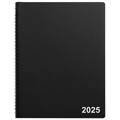 2025 Staples 8 x 11 Weekly & Monthly Appointment Book, Black (TR21494-25)