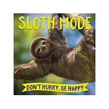Sloth Mode, Chapter Book, Hardcover (48512)