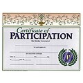 Hayes Certificate of Participation, 8.5 x 11, Pack of 30 (H-VA533)