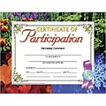 Hayes Certificate of Participation, 8.5 x 11, Pack of 30 (H-VA633)