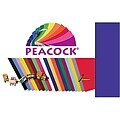 Peacock® Railroad Poster Board, Purple, 22 x 28, 4/ply, 25/sheets