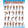 Sign Language Learning Chart