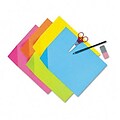 Pacon Super Bright Tag board, 9 x 12, Assorted Bright Colors