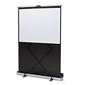 Euro Portable Cinema Screen with Black Carrying Case, 80