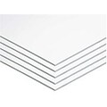 Foam Board, 22x28, 5/CT, White