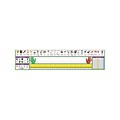 North Star Teacher Resources Primary Modern Manuscript Desk Plates, 4 x 17.5, 36/Pack (NST9041)