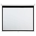 AccuScreens® 800062 94 Manual Wall and Ceiling Projection Screen; 16:10, White Casing