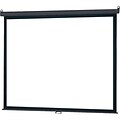 Infocus® SC-MAN 100 Manual Pull Down Projector Screen; 4:3, White Casing