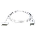 QVS® 9.8 USB Sync and Charger Cable For iPod; iPhone and iPad, White