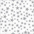 Shamrock 20 x 30 Silver Stars Printed Tissue Paper; Silver/White, 200/Pack