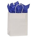 Bags & Bows® 8 1/4 x 4 3/4 x 10 1/2 High Gloss Paper Shoppers, 250/Pack (264-080409-9)