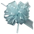 Bags & Bows® 4 Sheer Satin Edge Pull Bows, 12/Pack (PR819-20)