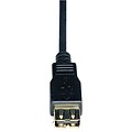 Tripp Lite 10 USB 2.0 Type A Male to Type A Female Extension Cable, Black