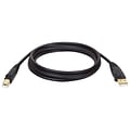 Tripp Lite 15 A-Male To B-Male USB 2.0 Gold Device Cable; Black