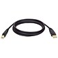 Tripp Lite 15' A-Male To B-Male USB 2.0 Gold Device Cable; Black