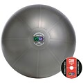 Gofit GF-75PRO 75 Cm Professional Stability Ball And Core Performance Training DVD; Dark Gray