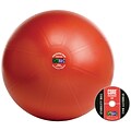 Gofit GF-55PRO Professional Stability 55 Cm Ball And Core Performance Training DVD; Dark Red