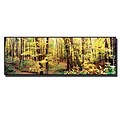 Trademark Fine Art Preston Trees Canvas Art 6x19 Inches