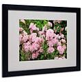 Kathie McCurdy Pink Roses Matted Framed Art - 11x14 Inches - Wood Frame