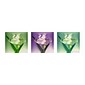 Trademark Fine Art Kathie McCurdy 'Three White Iris' Canvas Art 8x24 Inches