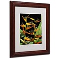 Kathie McCurdy Tropical Paradise Matted Framed Art - 16x20 Inches - Wood Frame