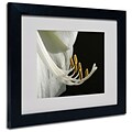 Trademark Fine Art Kurt Shaffer Intimate Amaryllis Matted Art Black Frame 16x20 Inches