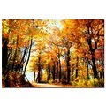 Trademark Fine Art Fall Scene by Lois Bryan-Canvas Ready to Hang 16x24 Inches