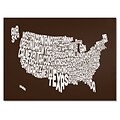 Trademark Fine Art Michael Tompsett CHOCOLATE-USA States Text Map Canvas Art 30x47 Inches