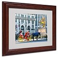 CATeyes Central Park 2 Matted Framed Art - 11x14 Inches - Wood Frame