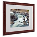 CATeyes A Treasure Matted Framed Art - 16x20 Inches - Wood Frame