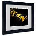 Trademark Fine Art Philippe Sainte-Laudy Golding Matted Art Black Frame 11x14 Inches