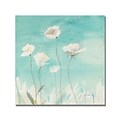 Trademark Fine Art Shelia Golden White Poppies Canvas Art. 35x35 Inches