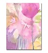 Trademark Fine Art Shelia Golden 'Dragonflies with Pink' Canvas Art 18x24 Inches