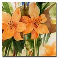 Trademark Fine Art Sheila Golden Tiger Lilies Canvas Art 18x18 Inches