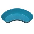 DMI® 10 x 4 1/4 Emesis Basin, Blue