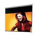 Draper 99 Luma Manual Projection Screen; MaxWhite