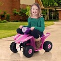 Lil Rider™ Princess Mini Quad Ride-on Car 4 Wheeler, Pink/Purple