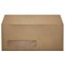 LUX Moistenable Glue #10 Window Envelope, 4 1/2 x 9 1/2, Grocery Bag Brown, 250/Box (4860-WGB-250)