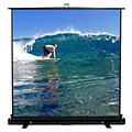 Elite Screens ezCinema 74 Portable Projection Screen; 16:9; Aluminum Casing